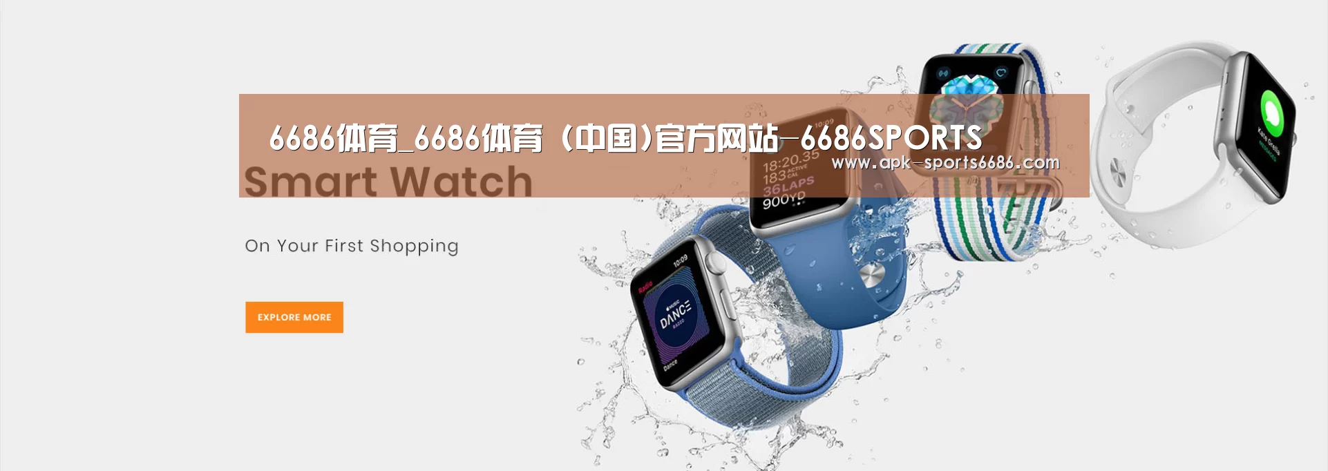 某某网络科技有限公司